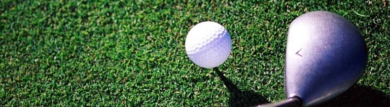 DYNO | ELEKTROMOS GOLFKOCSI AKKUMULÁTOR | AKKU