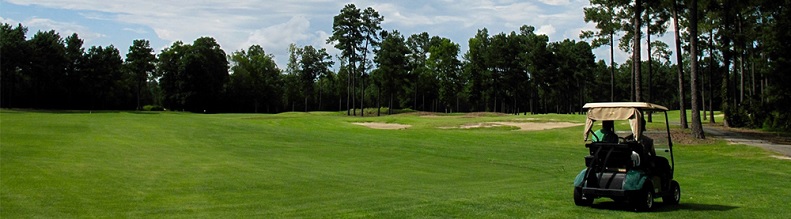 DYNO | ELEKTROMOS GOLFKOCSI AKKUMULÁTOR | AKKU